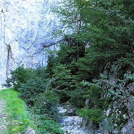 Palais Cathare